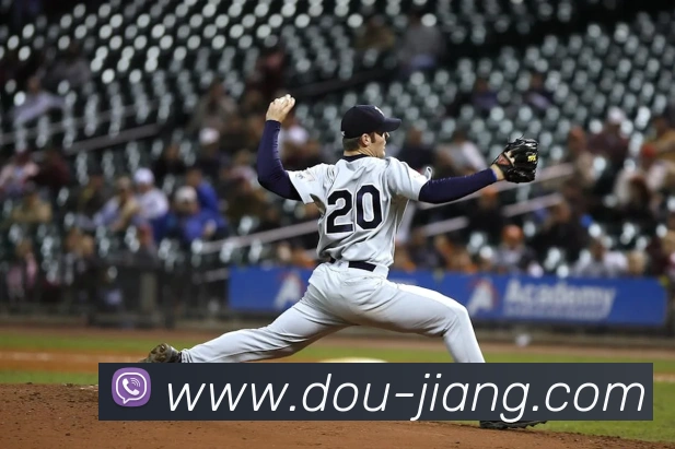 奖项证书
